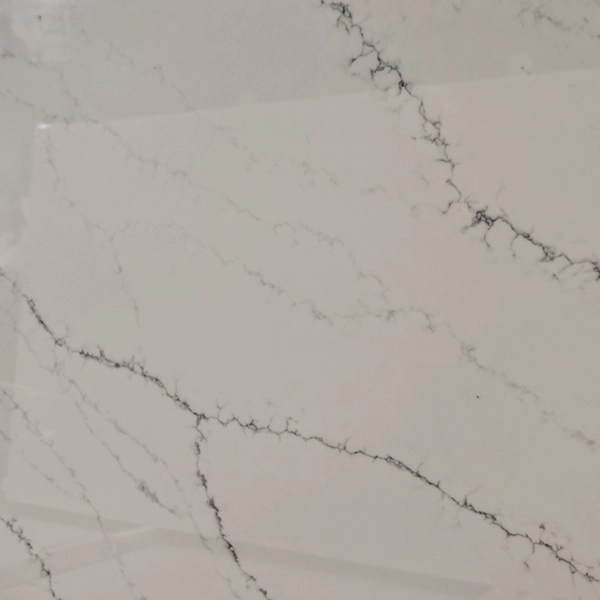 Elite Fino Calacatta Quartz