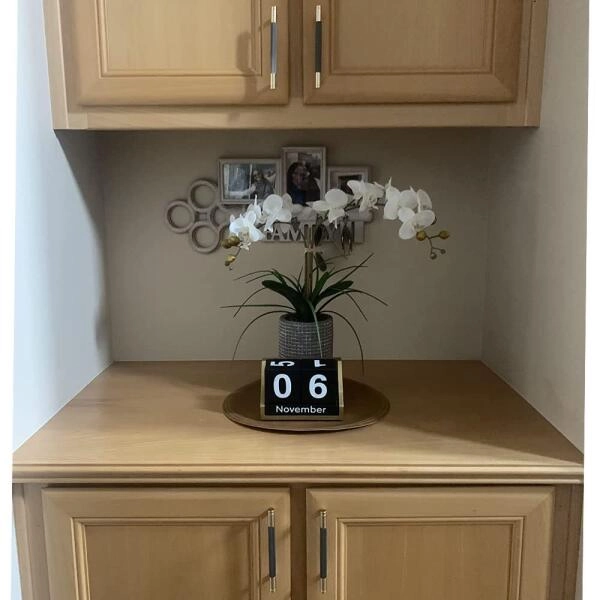 Westablize Bar Cabinet Pulls